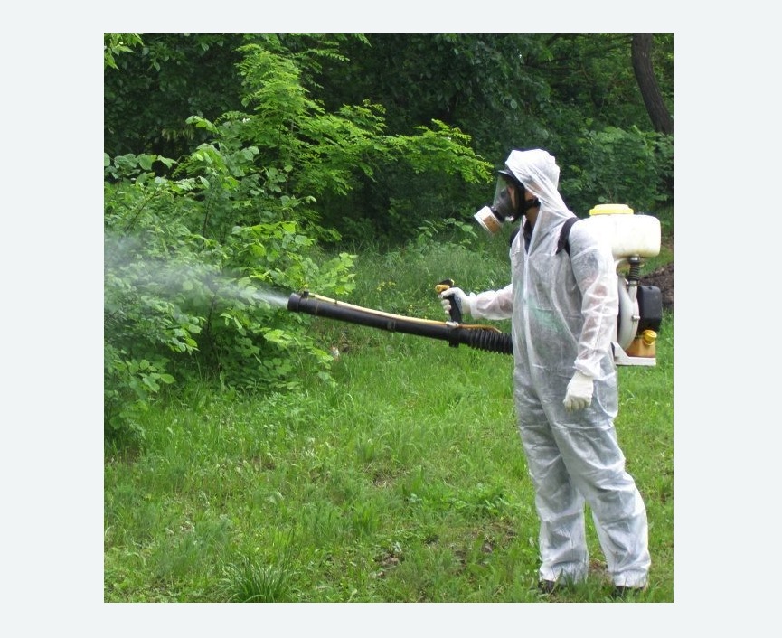 обработка территории от клещей в Котово