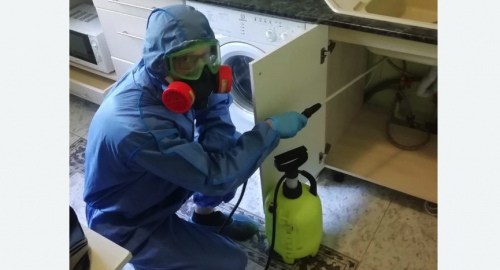 Уничтожение муравьев в квартире. Котово