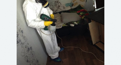 Обработка квартир от насекомых в Котово