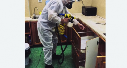 Дезинсекция квартиры. Котово