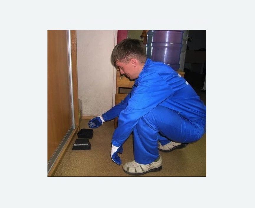 Дератизация крыс Дератизация крыс в Котово