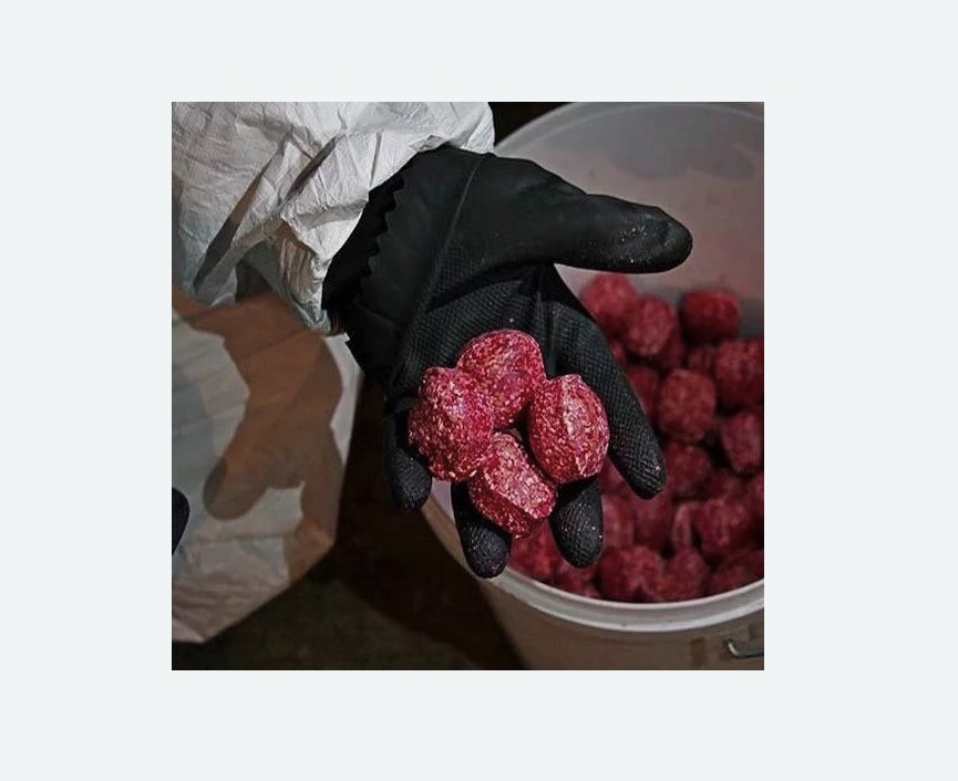 Обработка от крыс Обработка от крыс в Котово