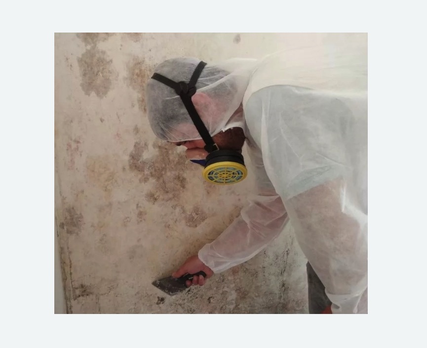 Обработка стен от плесени в Котово