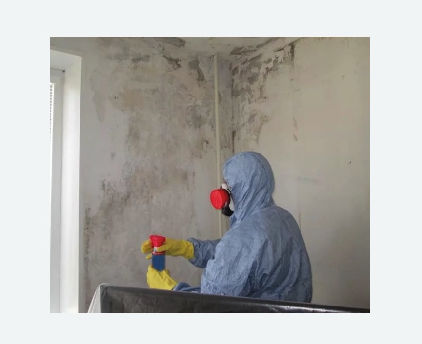 Удаление плесени в квартире в Котово