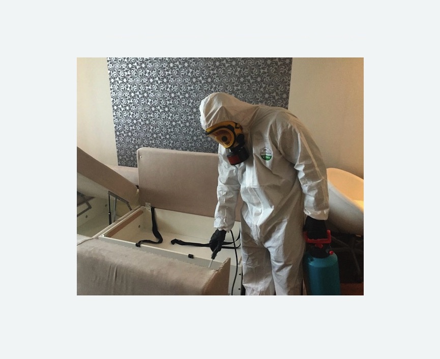 уничтожение клопов в квартире в Котово