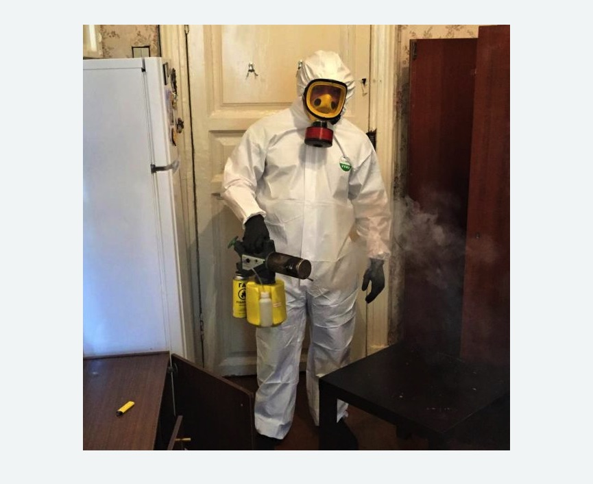 уничтожение муравьев в квартире уничтожение муравьев в квартире в Котово